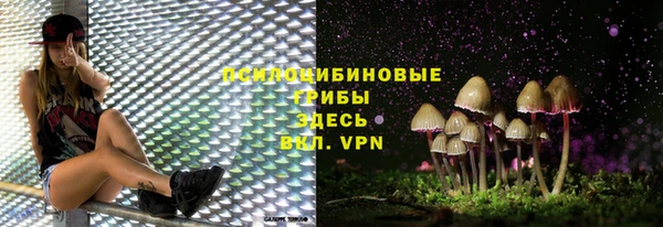 гашик Абинск